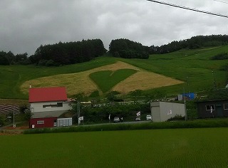 ペンギンは70万～1000万円(旭川近郊の工務店ならミヤザキホーム）